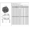 (6.1)Zestaw sprężyn K64/12 1200Nm 8x1,5mm Walterscheid 1129855