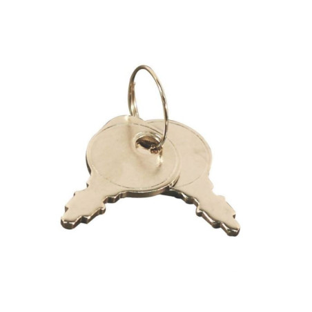 Key switch 798182 Briggs & Stratton 0024847908374