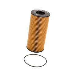 Filtr paliwa Merlo P00690