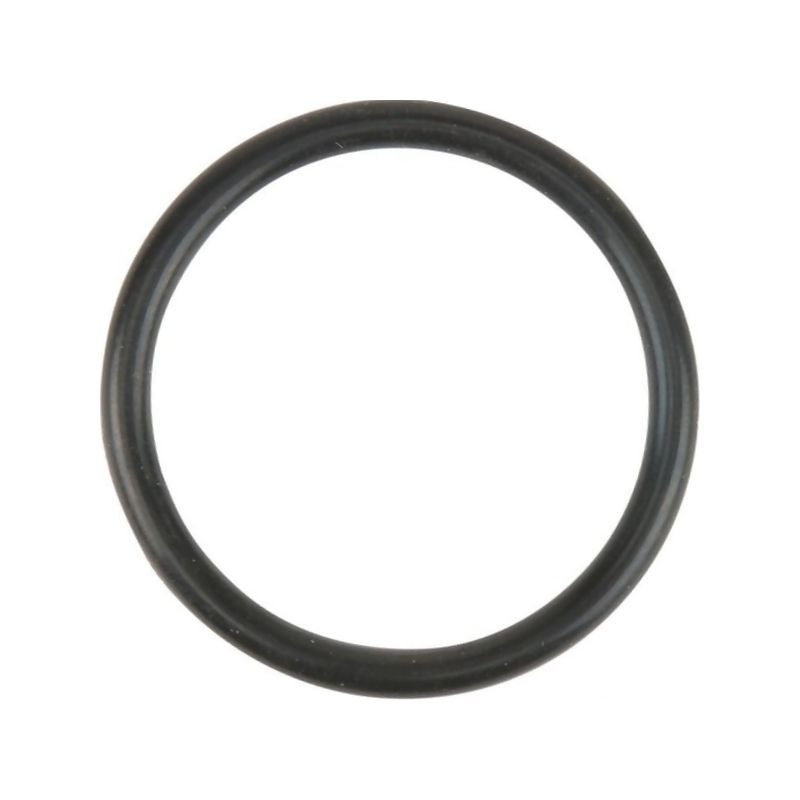 O-ring MA409361