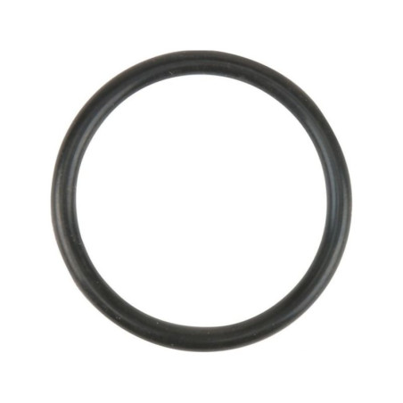 O-ring MA409361