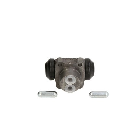 Cylinderek hamulcowy koła R22036C1 FTE 4028569200071