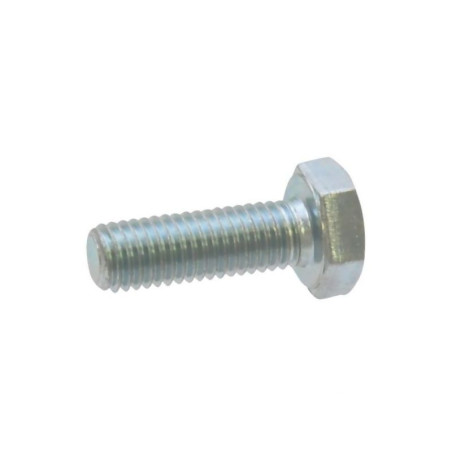 Śruba M10x30 10.9 DIN933 3013226 Lemken 8719607079044