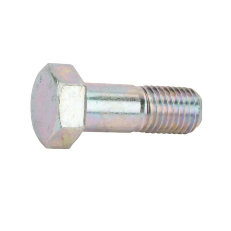 Śruba z łbem 6-k.spec. M16x45 3015388 Lemken 3015388