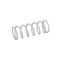 Sprężyna naciskowa 2x20x55,4 3298244 Lemken 3298244