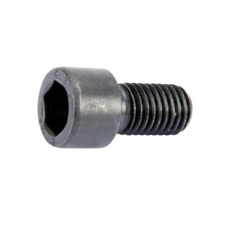 Śruba z łbem walc. 14x30 8.8 D 3015872 Lemken 3015872