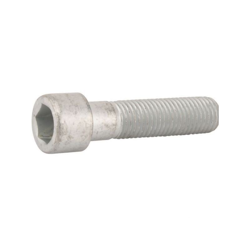Śruba z łb.walc. M16x65-8,8 DI 3016025 Lemken 3016025
