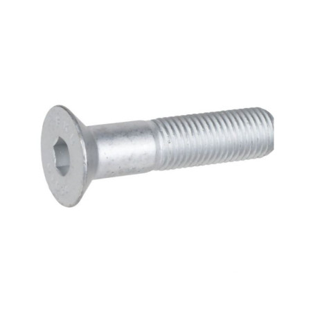 Śruba z łbem 6-kąt.M16x70-10,9 3016148 Lemken 8719607058056