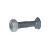 Śruba płużna 2-noskowa DIN11014, M10 x 50 mm kl. 8.8 z nakrętką