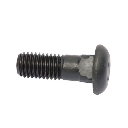 Śruba grzybkowa M12x45 kl. 8.8 Lemken 5008-1245.88