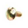 DA269 Amazone Śruba grzybkowa V2A, 12 x 30 mm