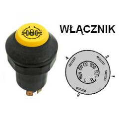 Włącznik blokady , 01176567, 990110028 Pneutron 8716106754472