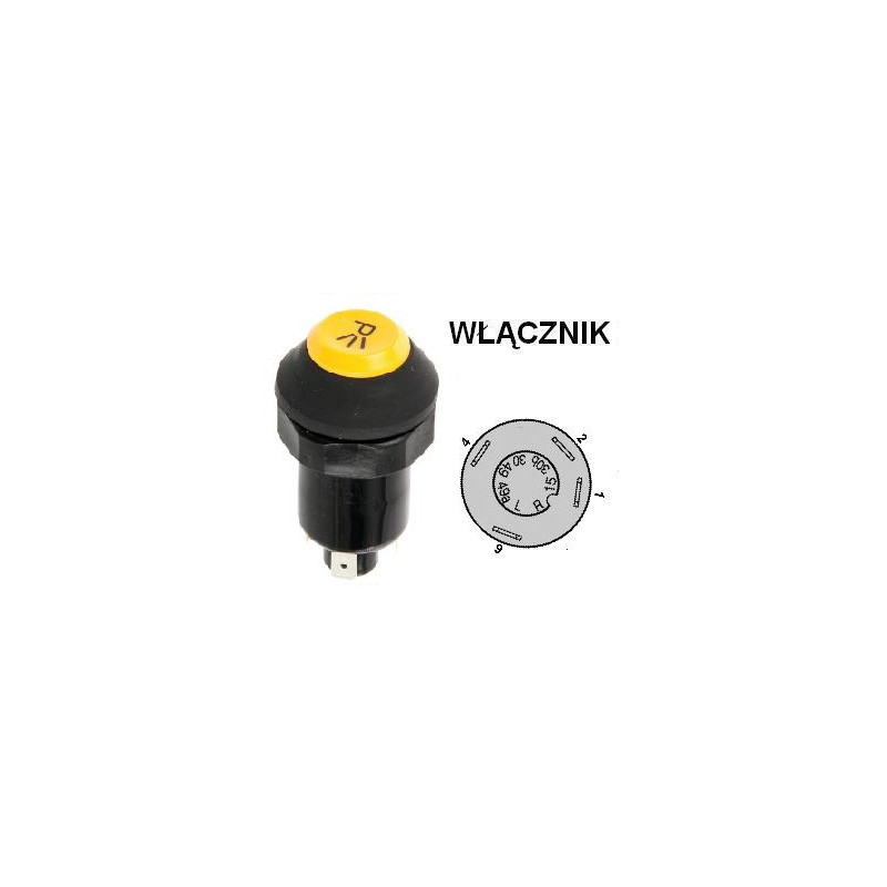 Włącznik świateł , 01177164, X830240362000, X830240358000 Pneutron 8716106754434