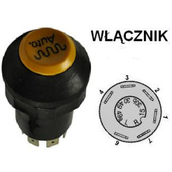 Przycisk AUTO Pneutron 8716106754212