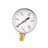 Manometr fi 63 0-2,5 bar, 1/4" dół