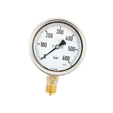 Manometrfi 100 0-600 bar, 1/2" dół
