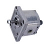 Pompa zębata Polaris grupa 1 - PLP101D081E1G Casappa PLP101D081E1G