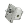 Pompa zębata Polaris grupa 1 - PLP102D081E1G Casappa PLP102D081E1G