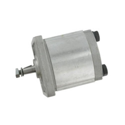 Pompa zębata Polaris grupa 1 - PLP105D081E1G Casappa 8719607070768