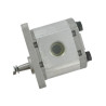 Pompa zębata Polaris grupa 1 - PLP105D081E1G Casappa 8719607070768