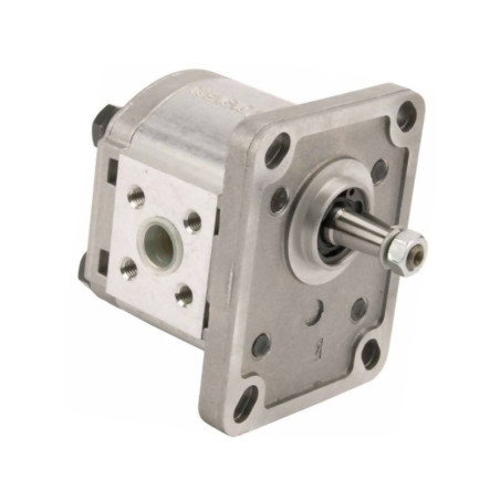 Pompa PLP10.1,5D0-81E1-LBB/BA- PLP1015D081E1 Casappa PLP1015D081E1