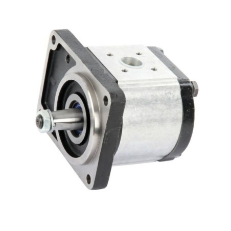Pompa PLP30.34D0-56B3-LBM/BL-N PLP3034D056B3 Casappa 8719607003780