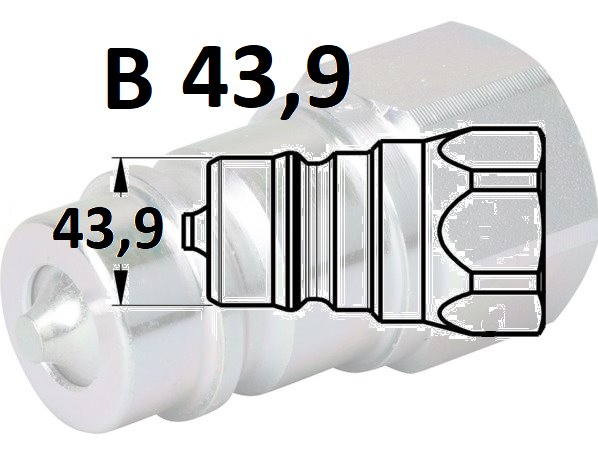 Szybkozłącza hydrauliczne grzybkowe B 43,9 wtyczka gwint wew. calowy 1i1/4" BSP