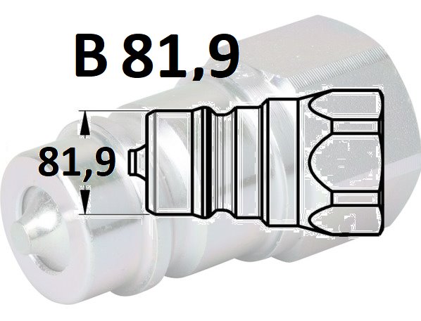 2" BSP